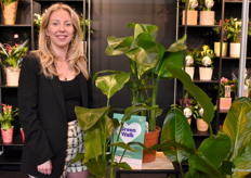 Marloes de Jongste van Dynaplant met de Strelitzia en de Monstera die begin 2024 beschikbaar zullen komen. Daarbij was er ook hun Kentia te zien die halverwege 2024 beschikbaar komt.